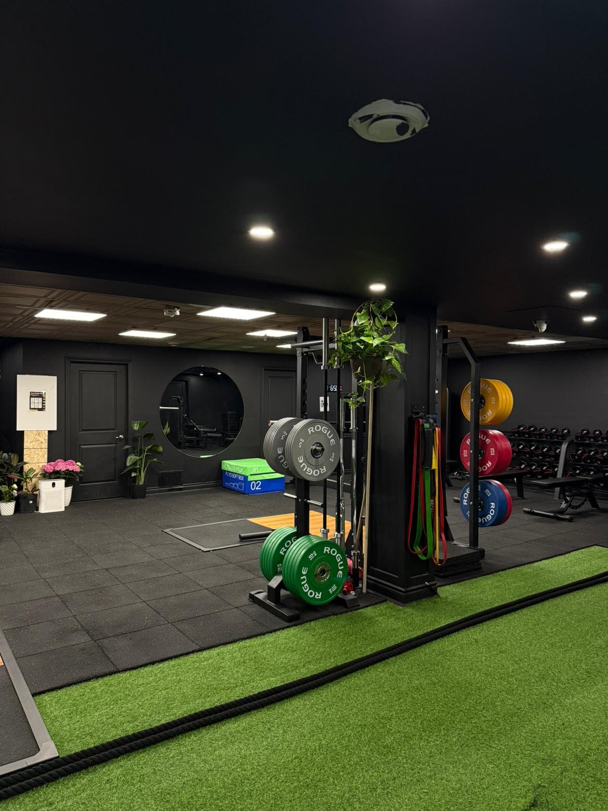 Dreamland Athletics strength zone