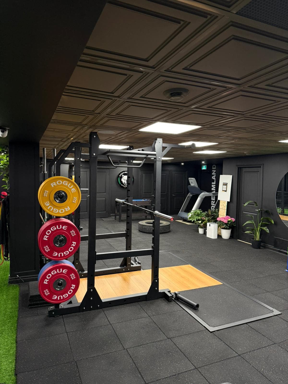 Dreamland Athletics premium equipment area