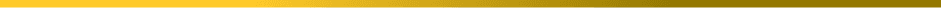 Section Divider Border